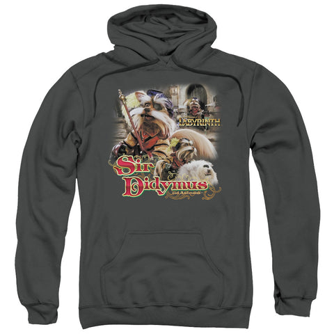 Adult Pull-Over Hoodie