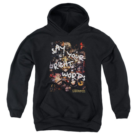 Youth Hooded Sweatshirt