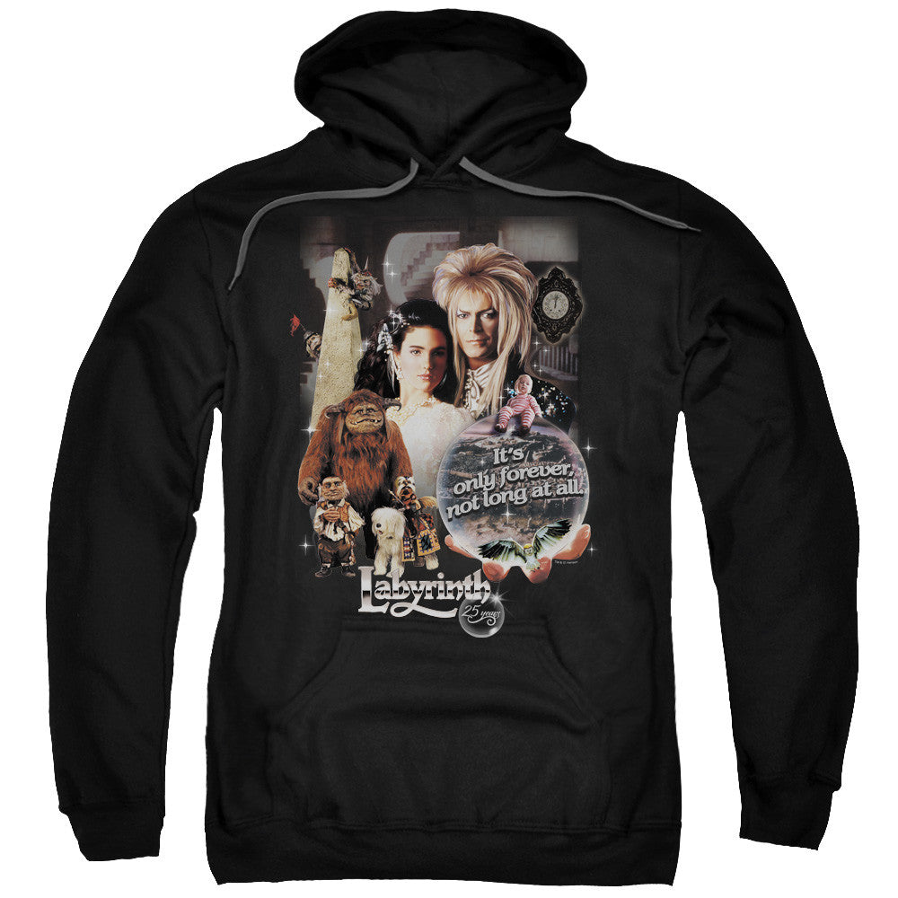 Adult Pull-Over Hoodie