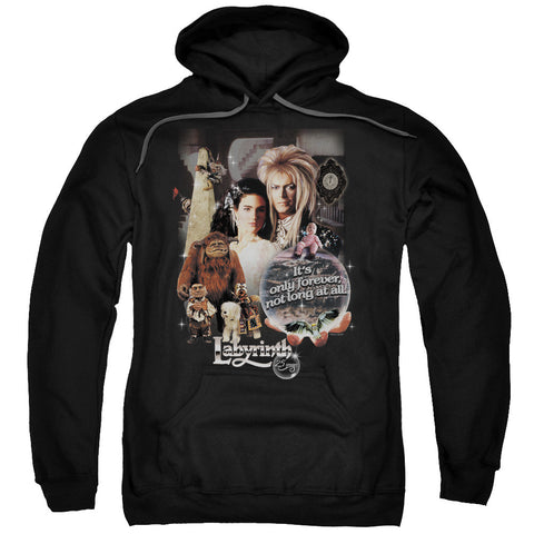 Adult Pull-Over Hoodie