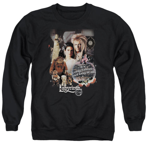 Adult Crewneck Sweatshirt