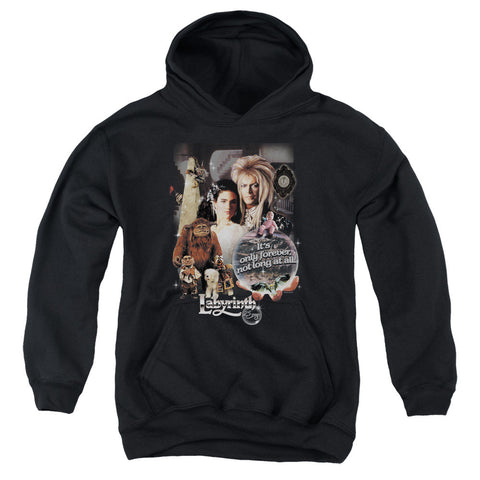 Youth Hooded Sweatshirt