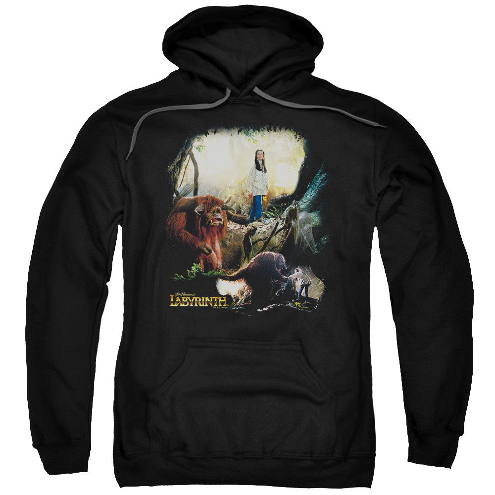 Adult Pull-Over Hoodie