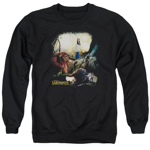 Adult Crewneck Sweatshirt