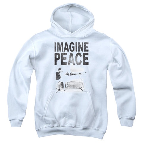 Youth Hooded Sweatshirt