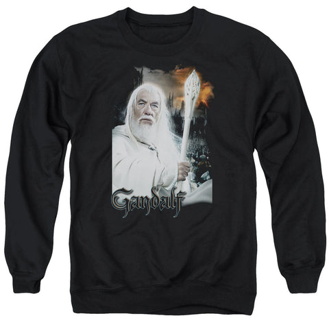 Adult Crewneck Sweatshirt