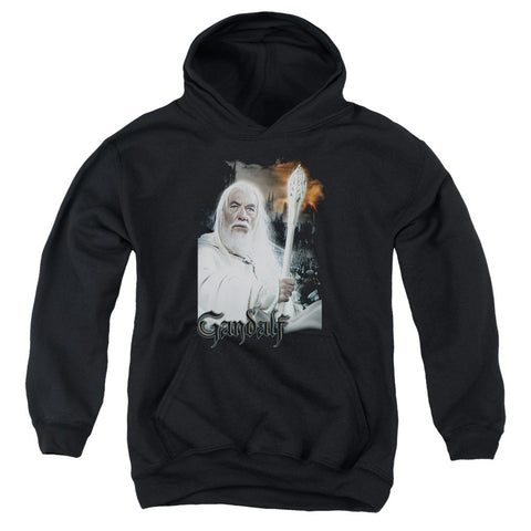 Youth Hooded Sweatshirt