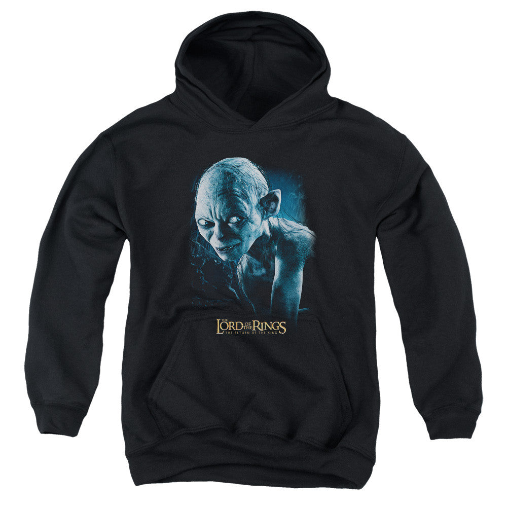 Youth Hooded Sweatshirt