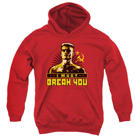 Youth Hooded Sweatshirt