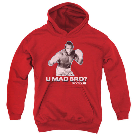 Youth Hooded Sweatshirt