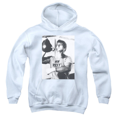 Youth Hooded Sweatshirt