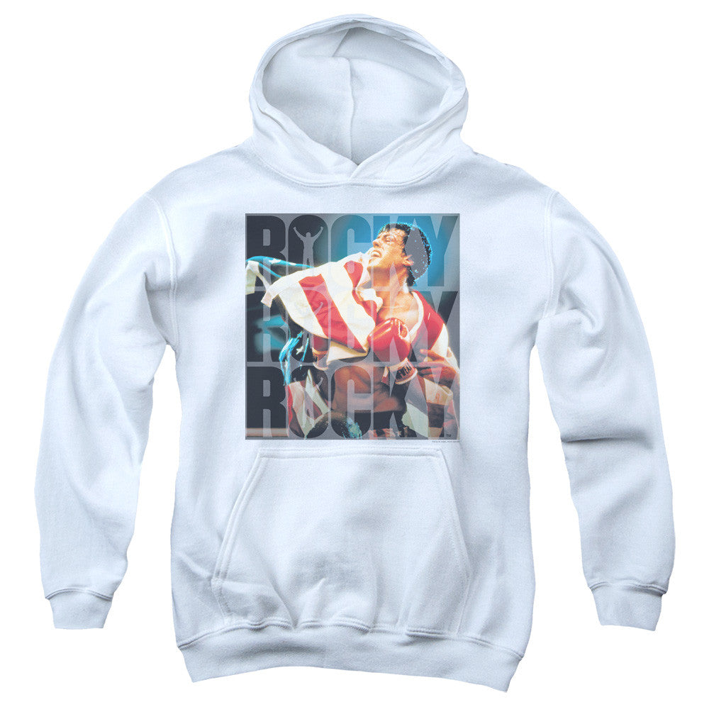 Youth Hooded Sweatshirt