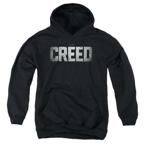 Youth Hooded Sweatshirt