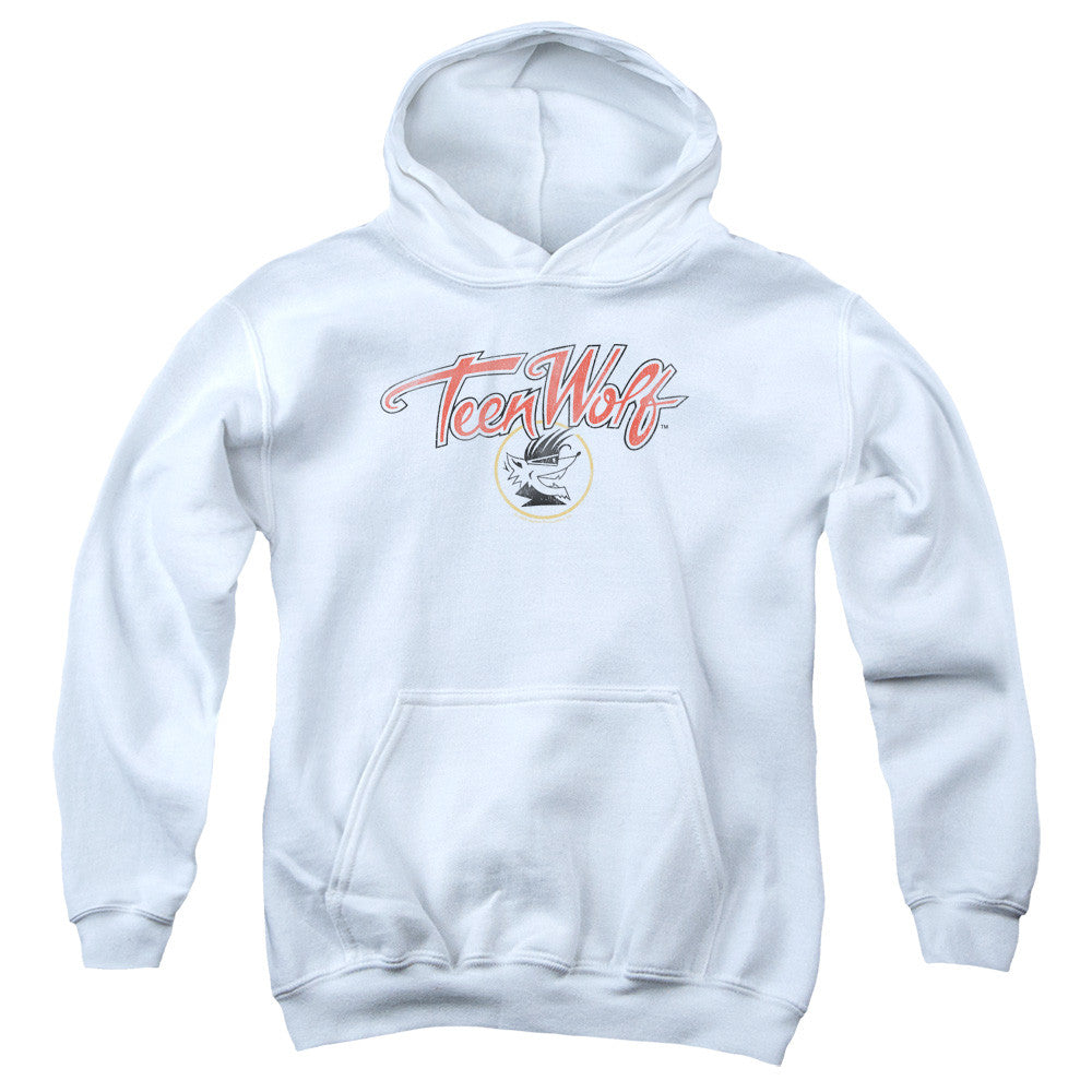 Youth Hooded Sweatshirt