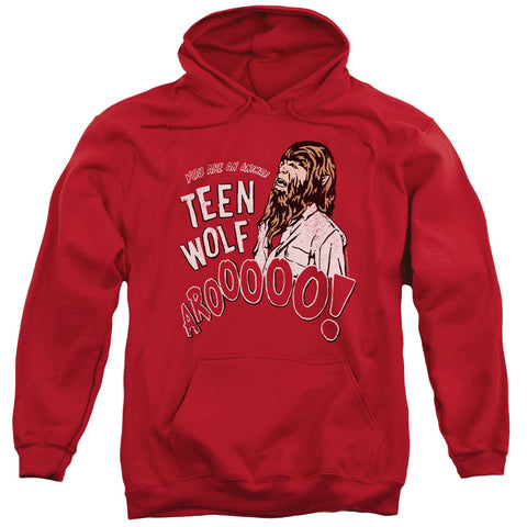 Adult Pull-Over Hoodie