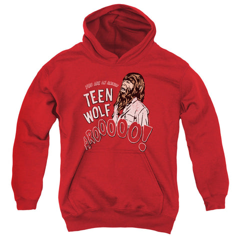 Youth Hooded Sweatshirt