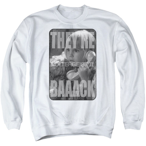 Adult Crewneck Sweatshirt