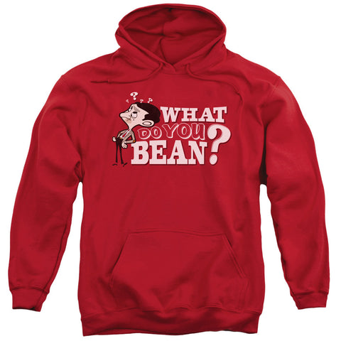 Adult Pull-Over Hoodie