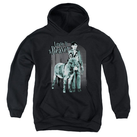 Youth Hooded Sweatshirt