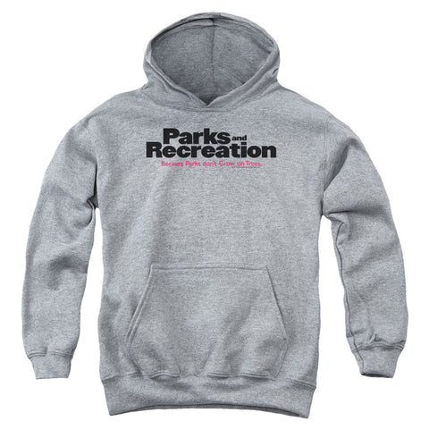 Youth Hooded Sweatshirt