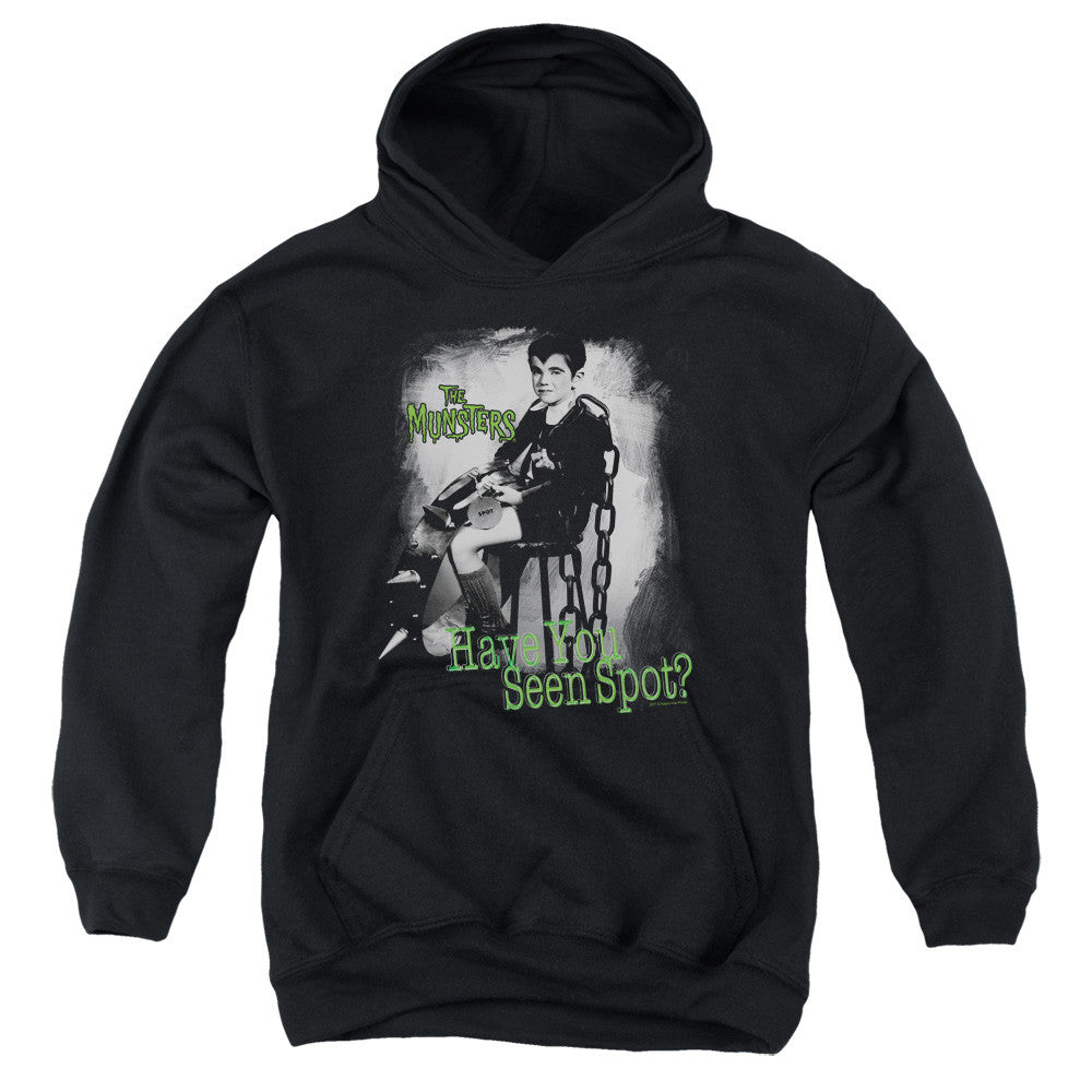 Youth Hooded Sweatshirt