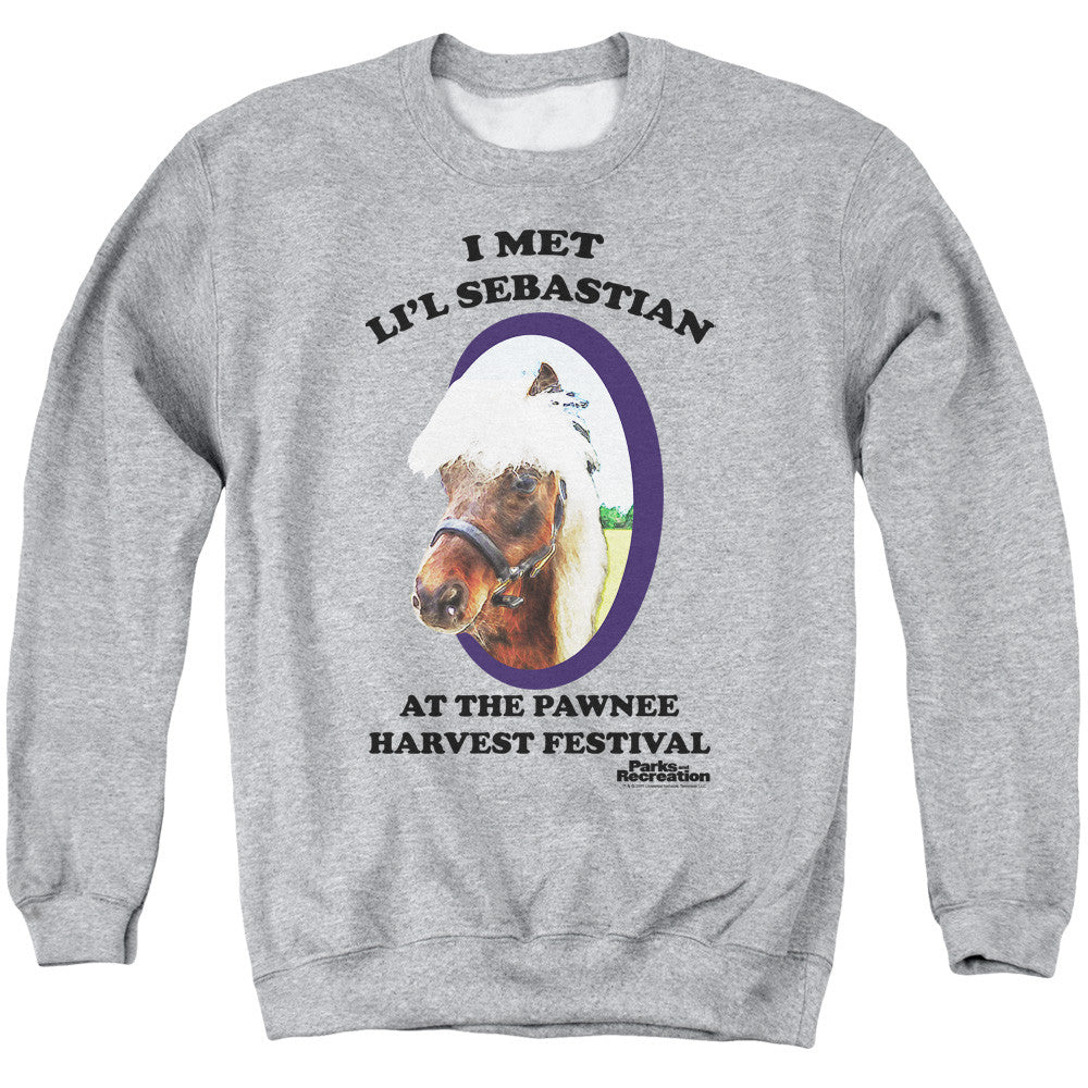 Adult Crewneck Sweatshirt