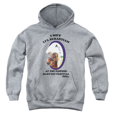 Youth Hooded Sweatshirt