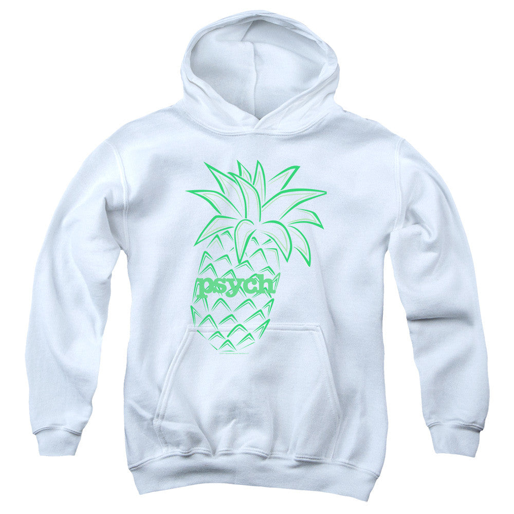 Youth Hooded Sweatshirt