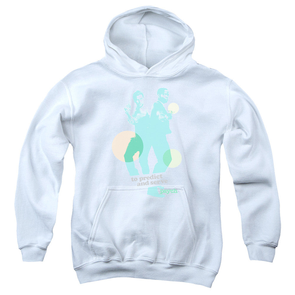 Youth Hooded Sweatshirt