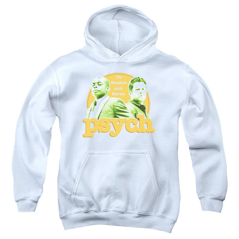 Youth Hooded Sweatshirt