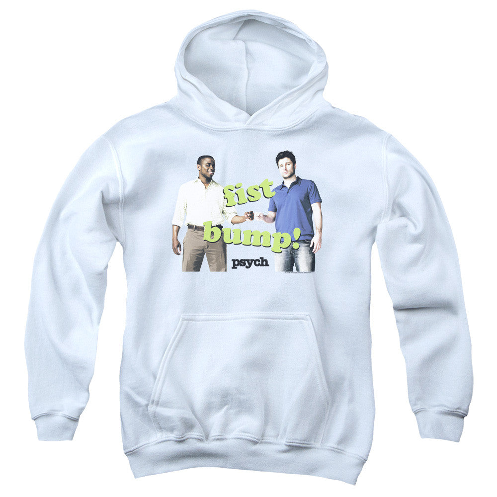 Youth Hooded Sweatshirt