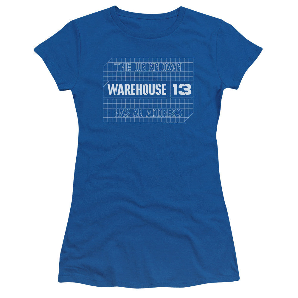 Juniors Sheer Cap Sleeve