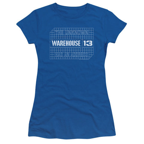 Juniors Sheer Cap Sleeve