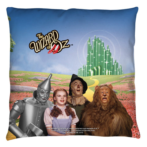 Throw Pillow -  - null