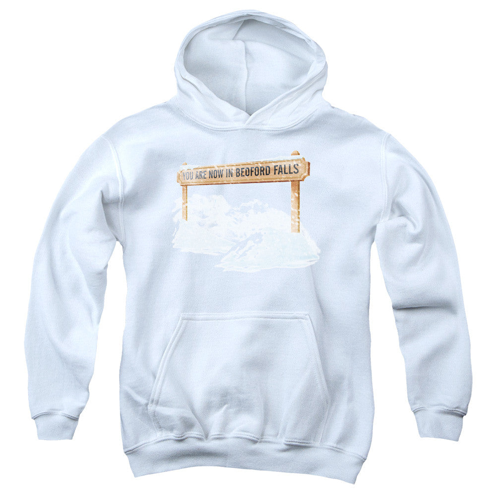 Youth Hooded Sweatshirt