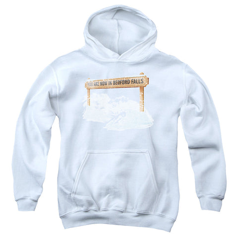 Youth Hooded Sweatshirt