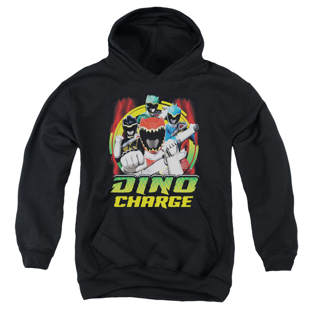 Youth Hooded Sweatshirt