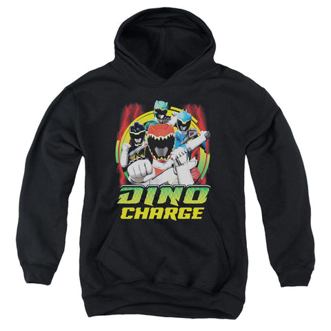 Youth Hooded Sweatshirt