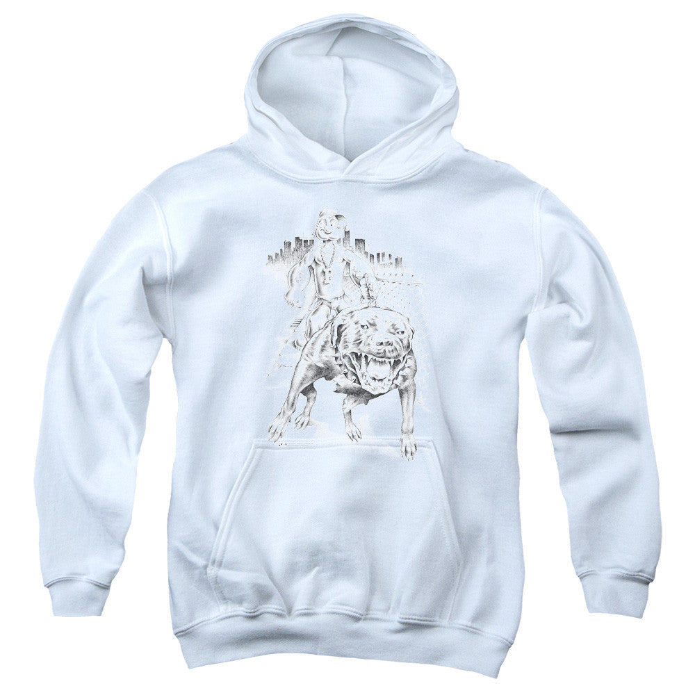 Youth Hooded Sweatshirt