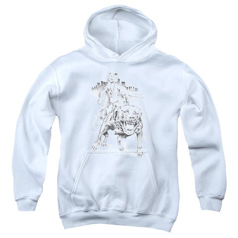 Youth Hooded Sweatshirt