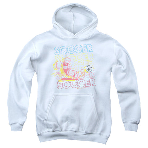 Youth Hooded Sweatshirt