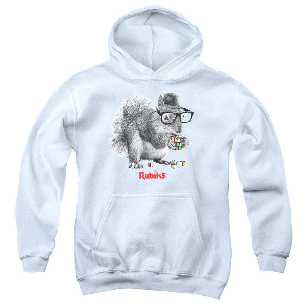 Youth Hooded Sweatshirt