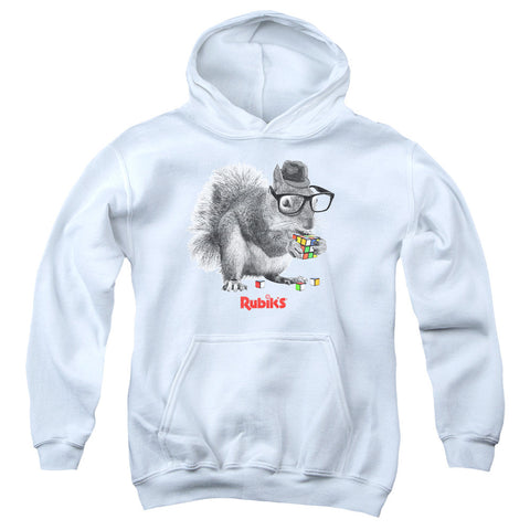 Youth Hooded Sweatshirt