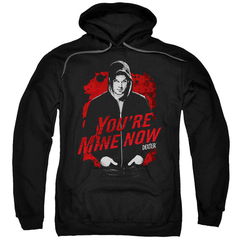 Adult Pull-Over Hoodie