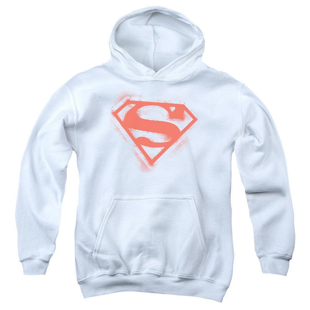 Youth Hooded Sweatshirt
