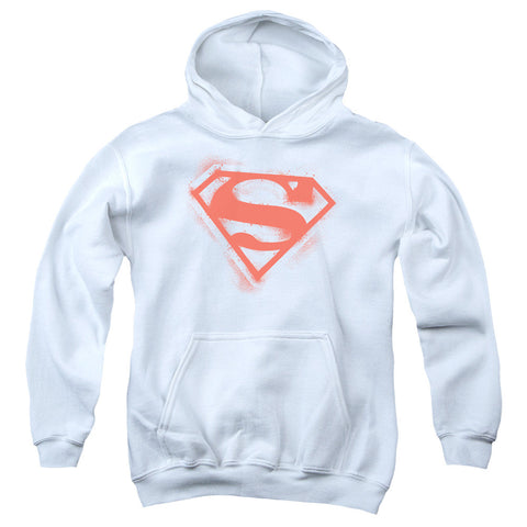 Youth Hooded Sweatshirt