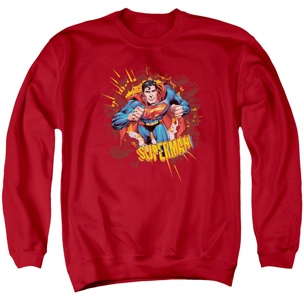 Adult Crewneck Sweatshirt