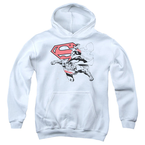 Youth Hooded Sweatshirt