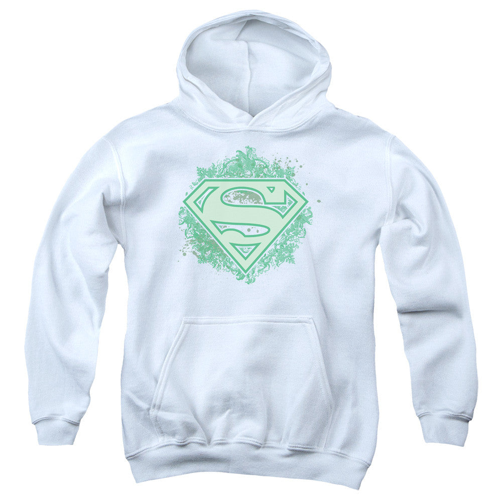 Youth Hooded Sweatshirt