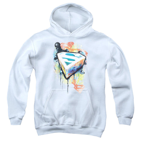 Youth Hooded Sweatshirt